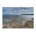Poster 90x60 30.00 &euro;