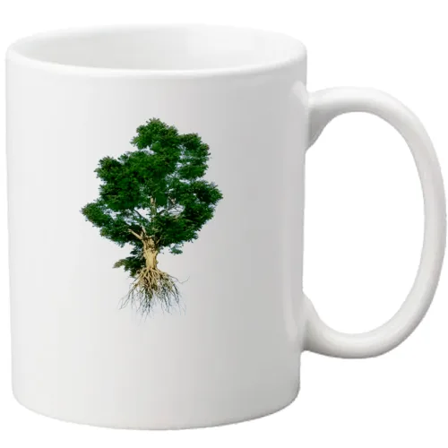 Tazza
