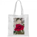 Borsa 17.50 &euro;