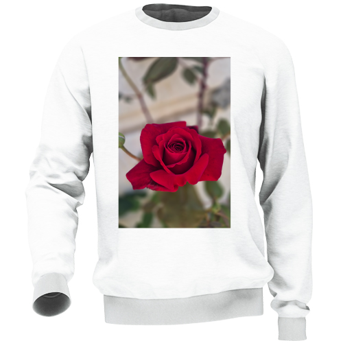 Felpa Unisex