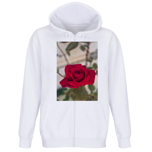 Felpa Premium Cappuccio Zip