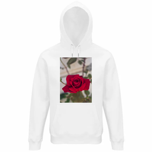Felpa Organica Unisex Cappuccio