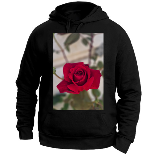 Felpa con Cappuccio Unisex Large
