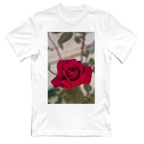 T-Shirt Unisex