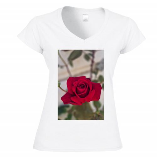 T-Shirt Donna Scollo V