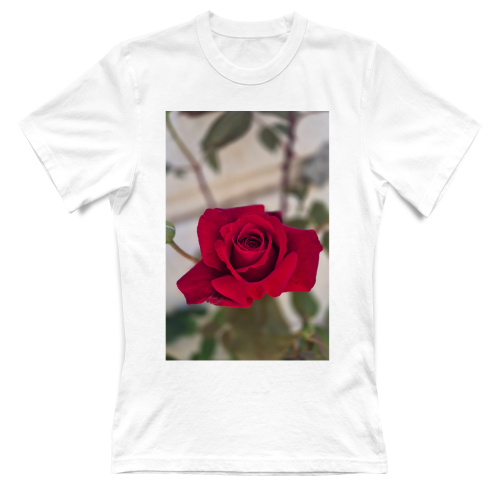 T-Shirt Donna