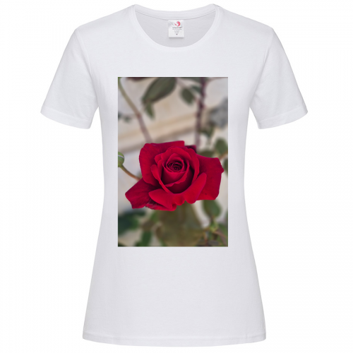 T-Shirt Women Premium 