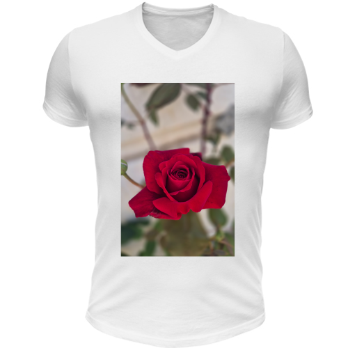 T-Shirt Unisex Scollo V