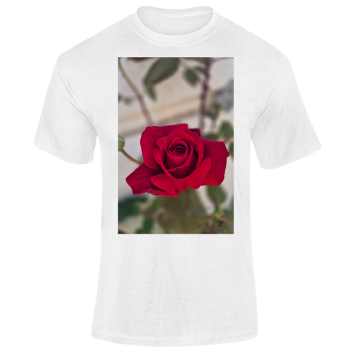 T-Shirt Unisex Dry Sport