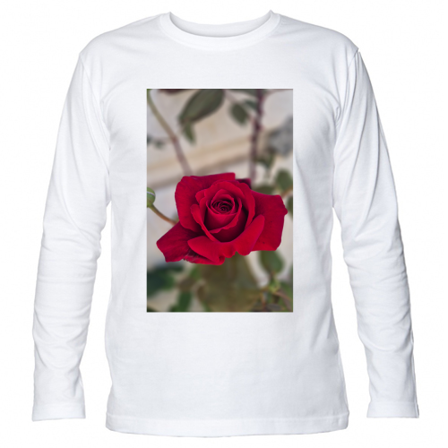 T-Shirt Unisex Manica Lunga