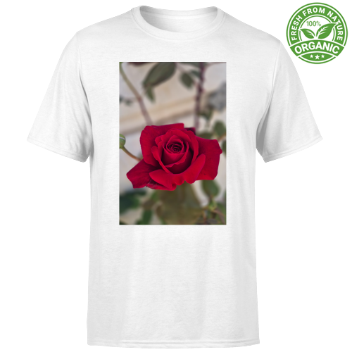 T-Shirt Unisex Organic