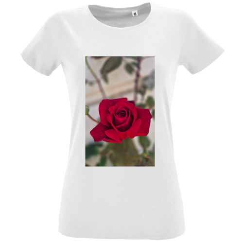 T-Shirt Women Fit