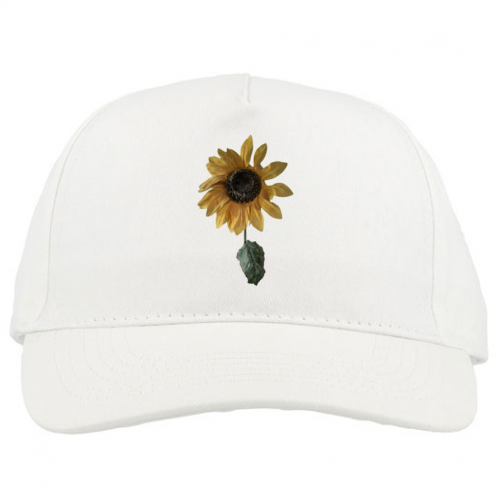 Baseball Caps