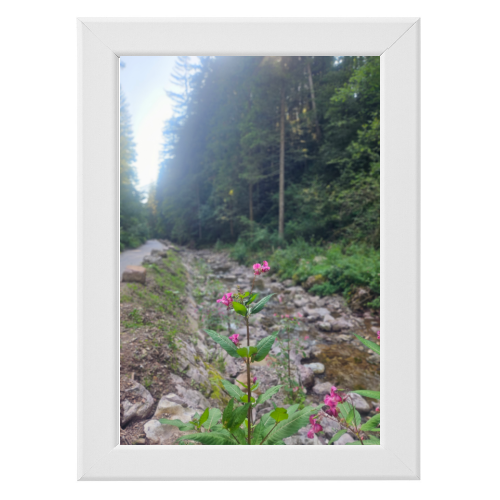 Poster con Cornice 20x30