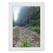 20x30 Framed Poster 49.75 &euro;