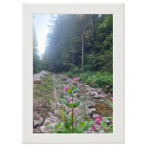 Poster con Cornice 30x45