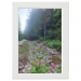 30x45 Framed Poster 74.75 &euro;