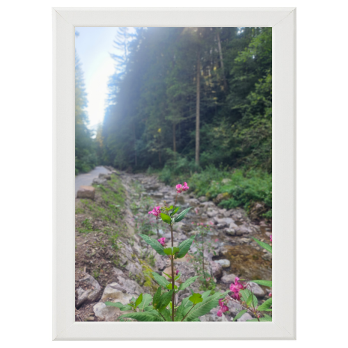Poster con Cornice 40x60
