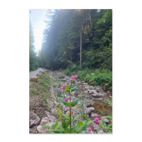 Poster 50x75