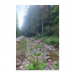 Poster 60x90 30.00 &euro;