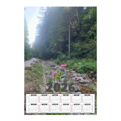 Poster Calendar
