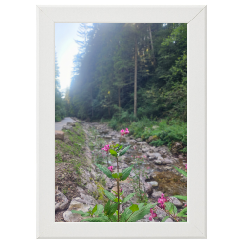 Poster con Cornice 30x45