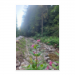 Poster 50x75 20.00 &euro;