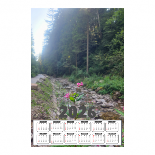 Poster Calendar