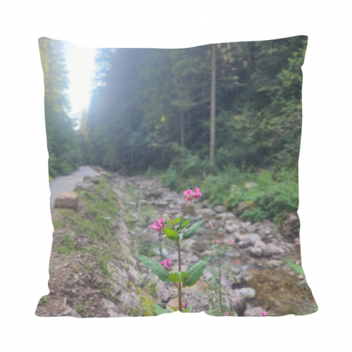 Cuscino All Over Print