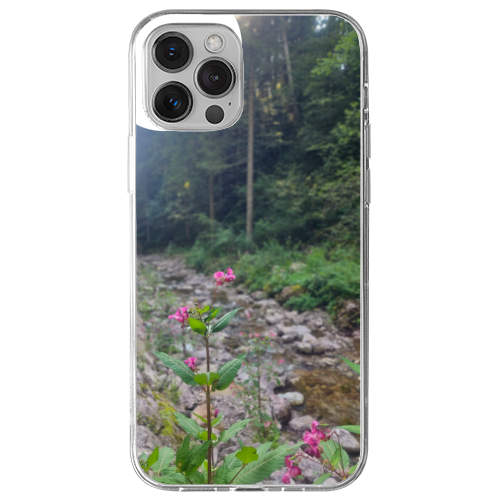 Cover Gomma iPhone 12 Pro