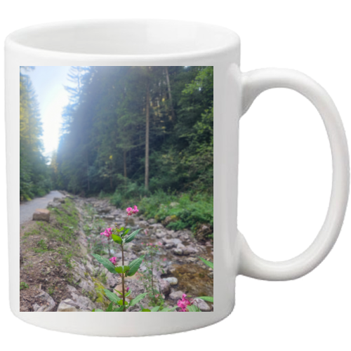 Tazza