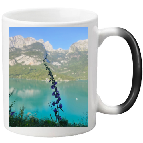 Tazza Magica
