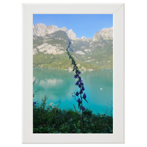 Poster con Cornice 30x45