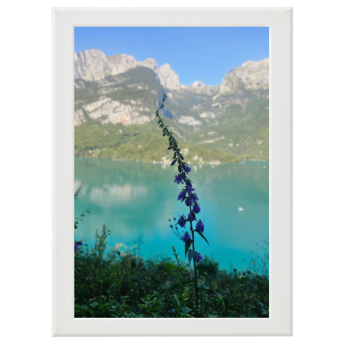 Poster con Cornice 40x60