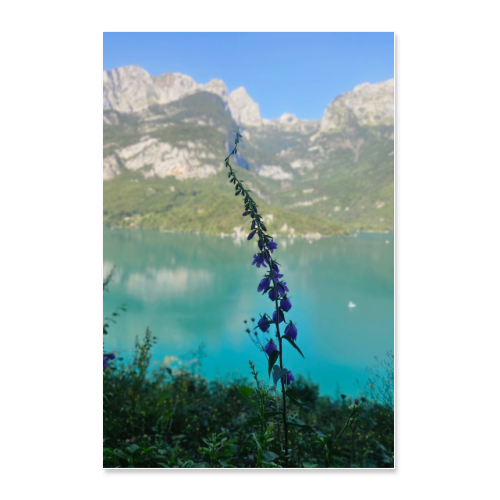 Poster 60x90