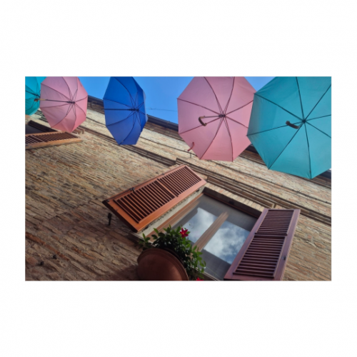 Canvas 30x20