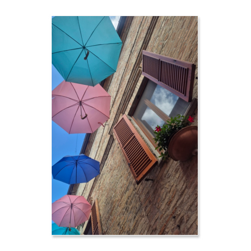 Poster 30x45