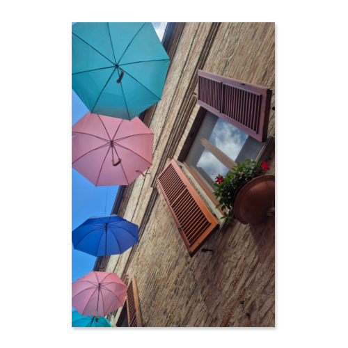 Poster 50x75