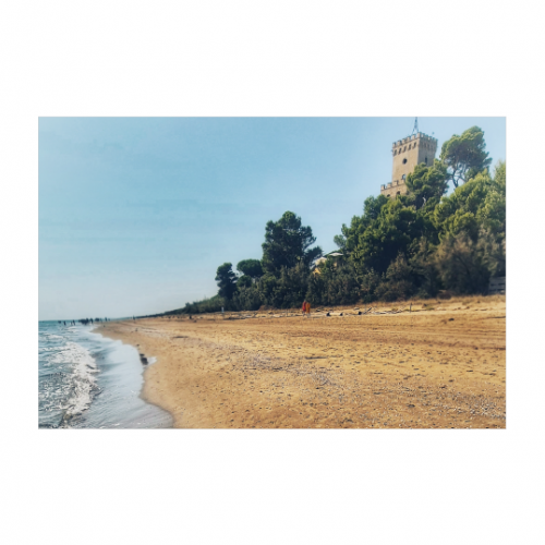 Canvas 30x20