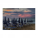 Canvas 30x20 29.90 &euro;