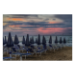 Canvas 60x40 62.50 &euro;