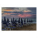 Canvas 90x60 87.50 &euro;