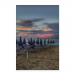 Poster 30x45 12.50 &euro;