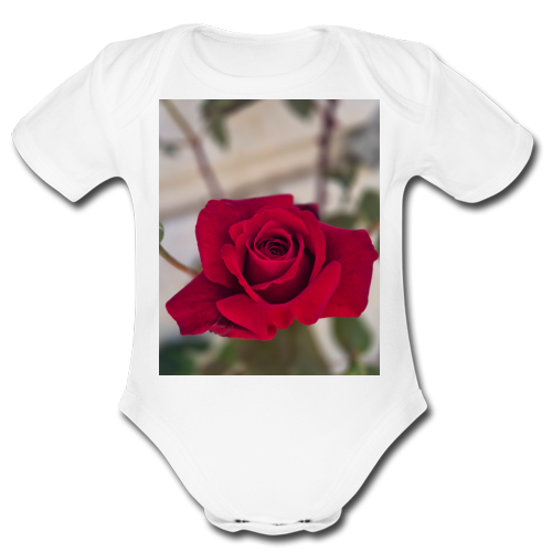 Body Bambino