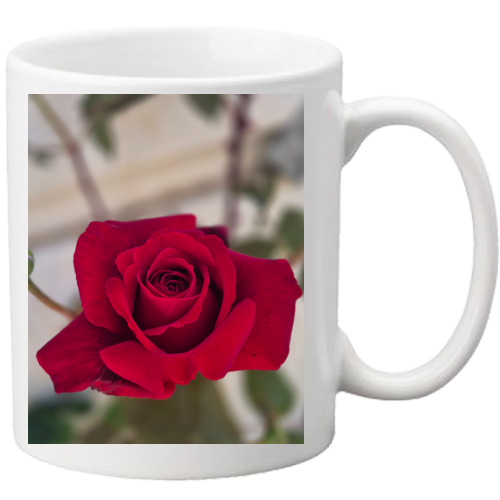 Tazza