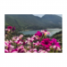 Canvas 30x20 29.90 &euro;