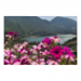 Canvas 45x30 31.25 &euro;
