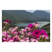 Canvas 60x40 62.50 &euro;