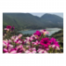 Canvas 90x60 87.50 &euro;