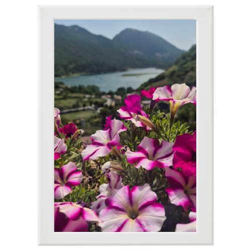 Poster con Cornice 40x60